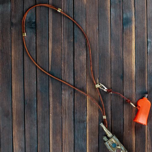 Dog Lanyard